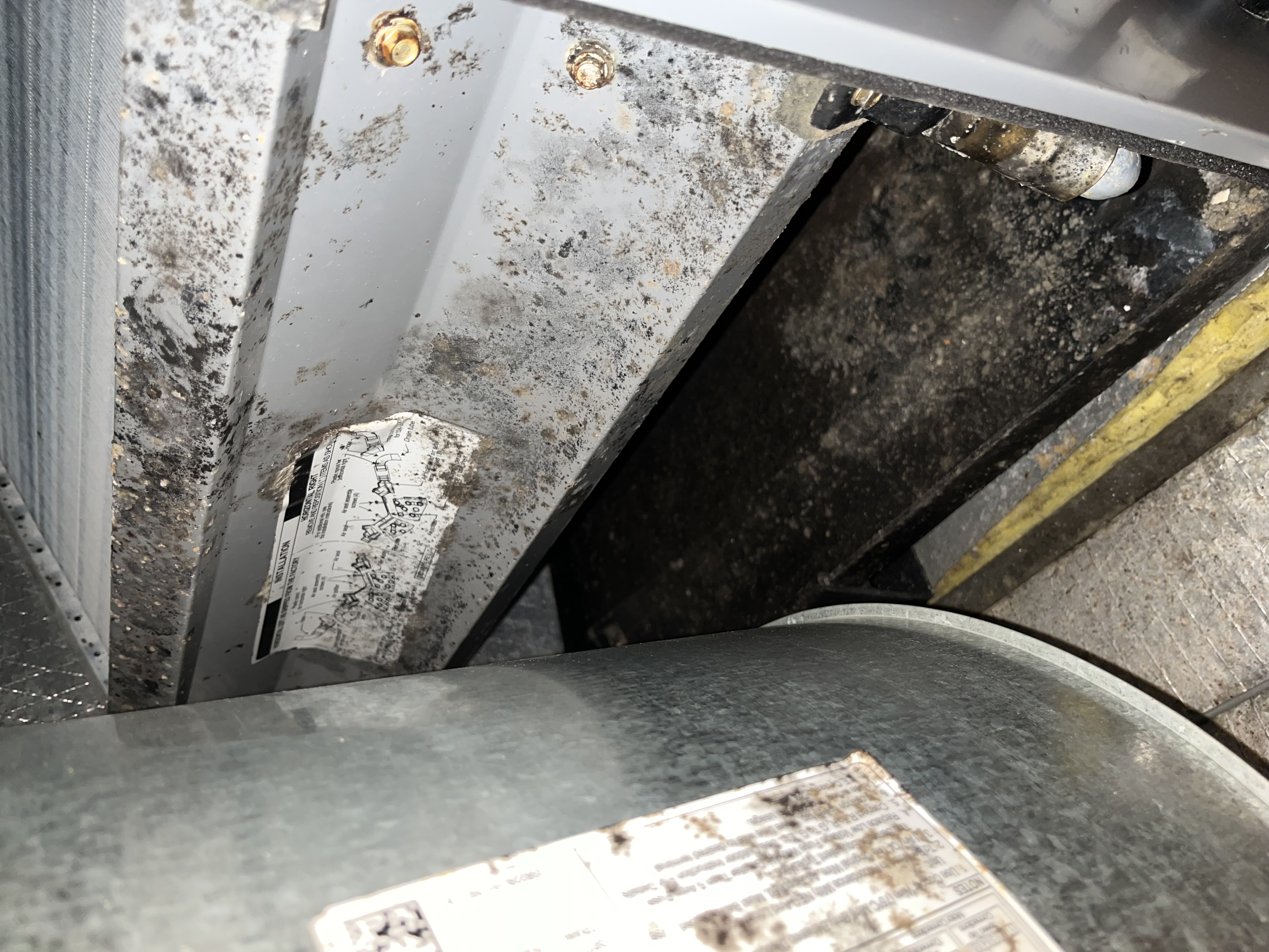 Image of mold growth in an attic air conditioner